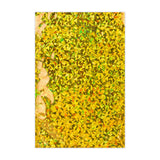 Holografiskfolierade påsar